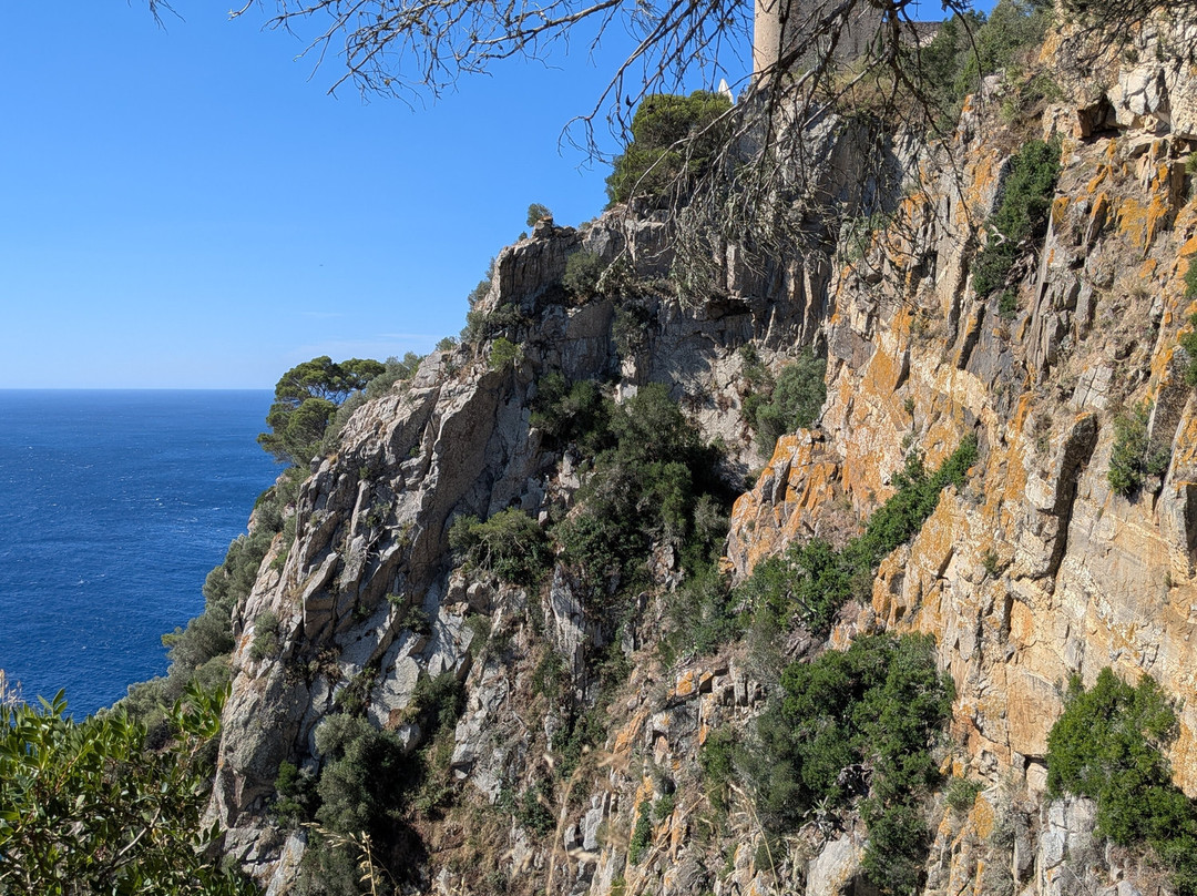 Creative Catalonia - Bike Holidays Girona Spain-赫罗那必去景点