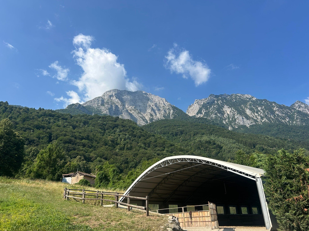 Saba Ranch-Primaluna必去景点