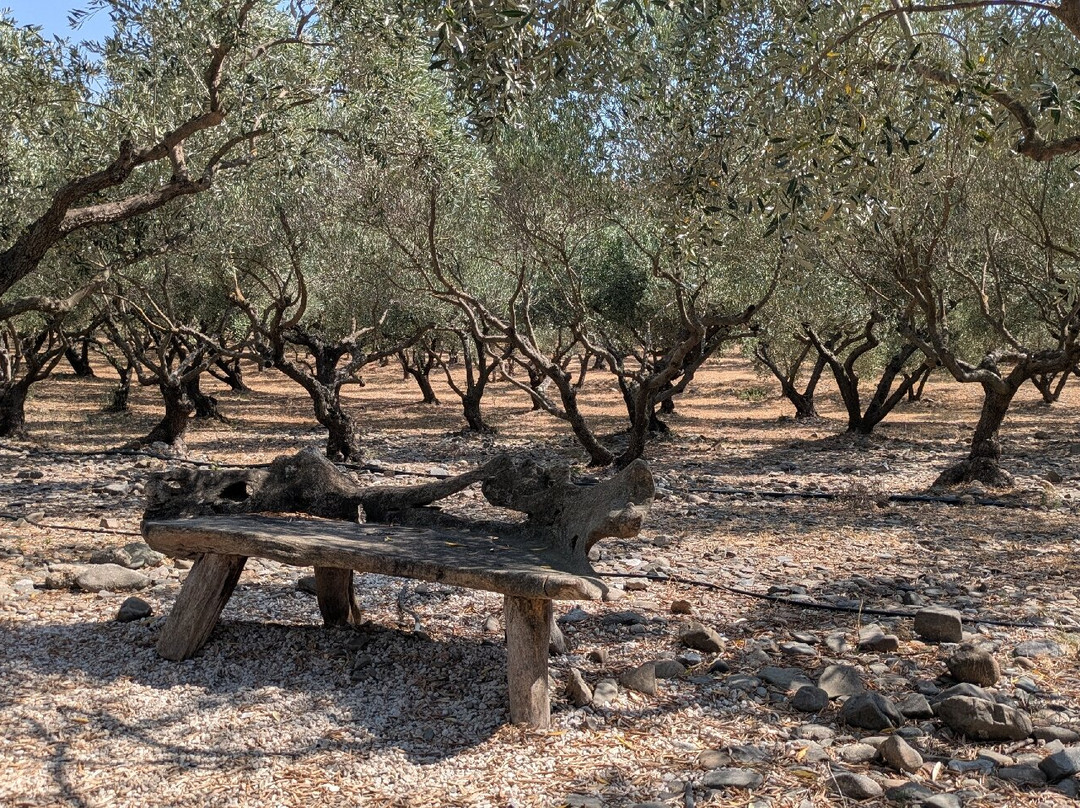 L'Oulibo-Bize-Minervois必去景点