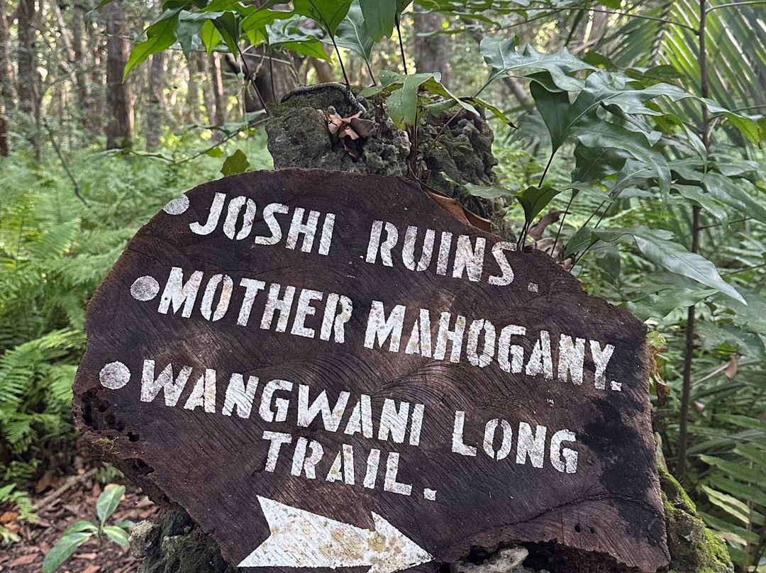 Jozani Chwaka Bay National Park-桑给巴尔岛必去景点