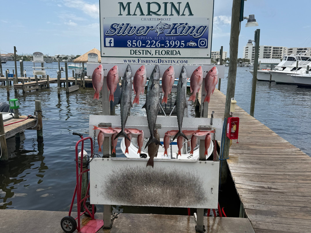Silver King Charters of Destin-Sandestin必去景点