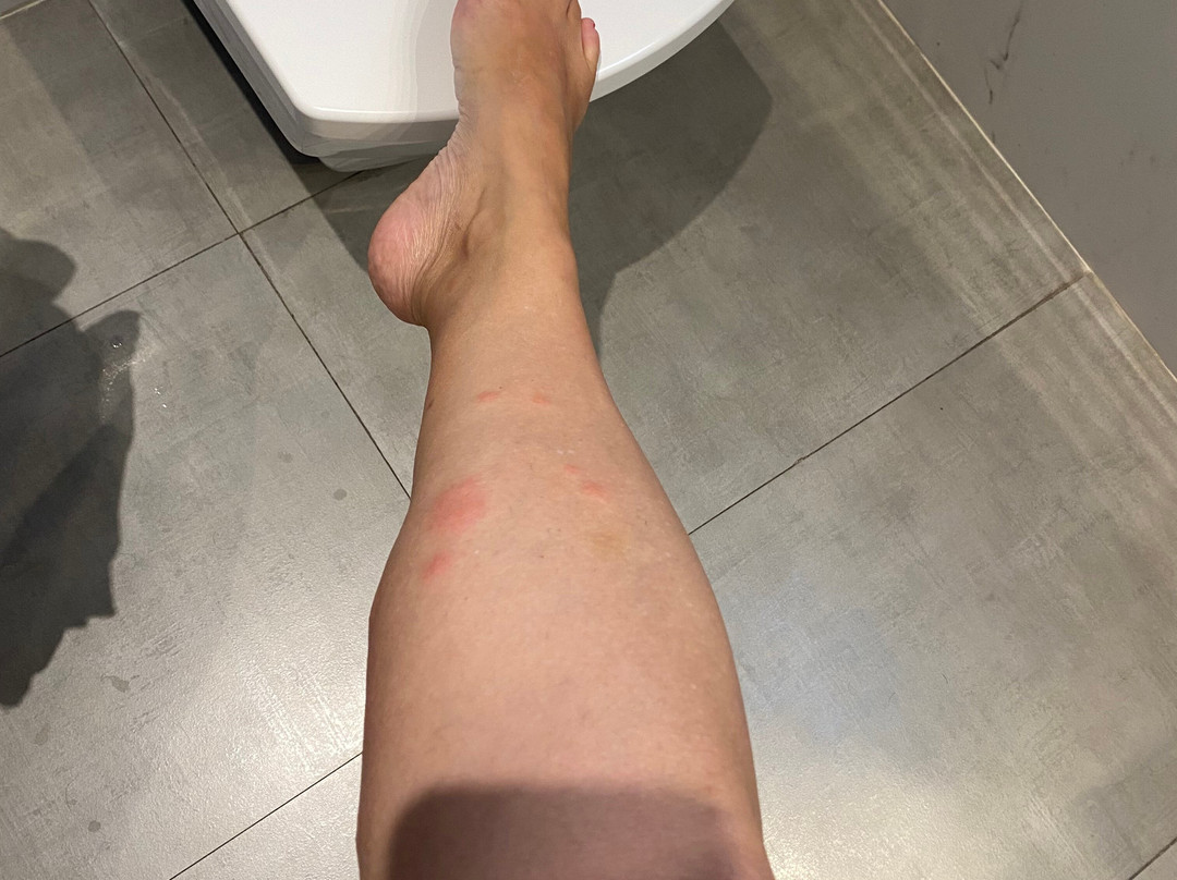 鲁阿维亚堡欧洲之星酒店主图