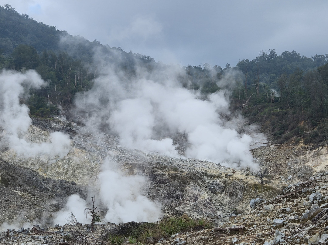 Bogor Halimun National Park Tour-茂物必去景点