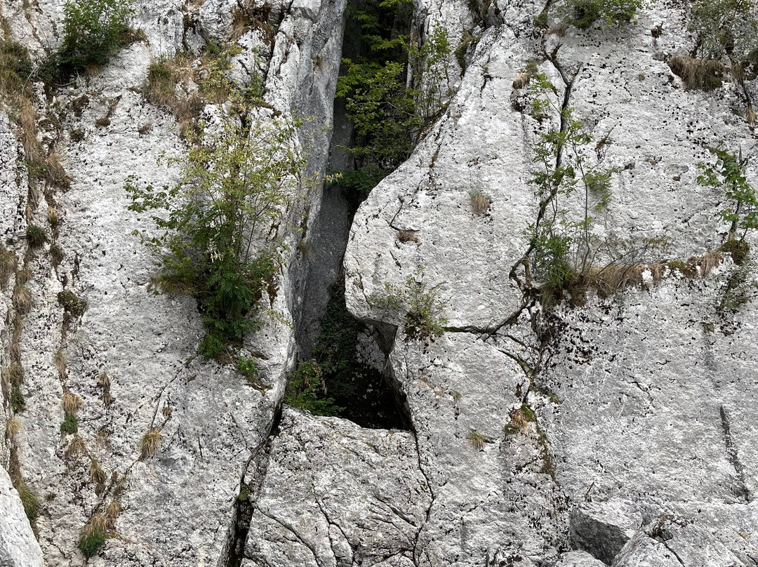 Source de la Saine-Foncine-le-Haut必去景点