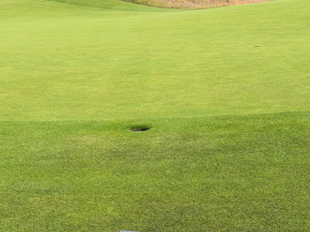 Bernardus Golf-Cromvoirt必去景点