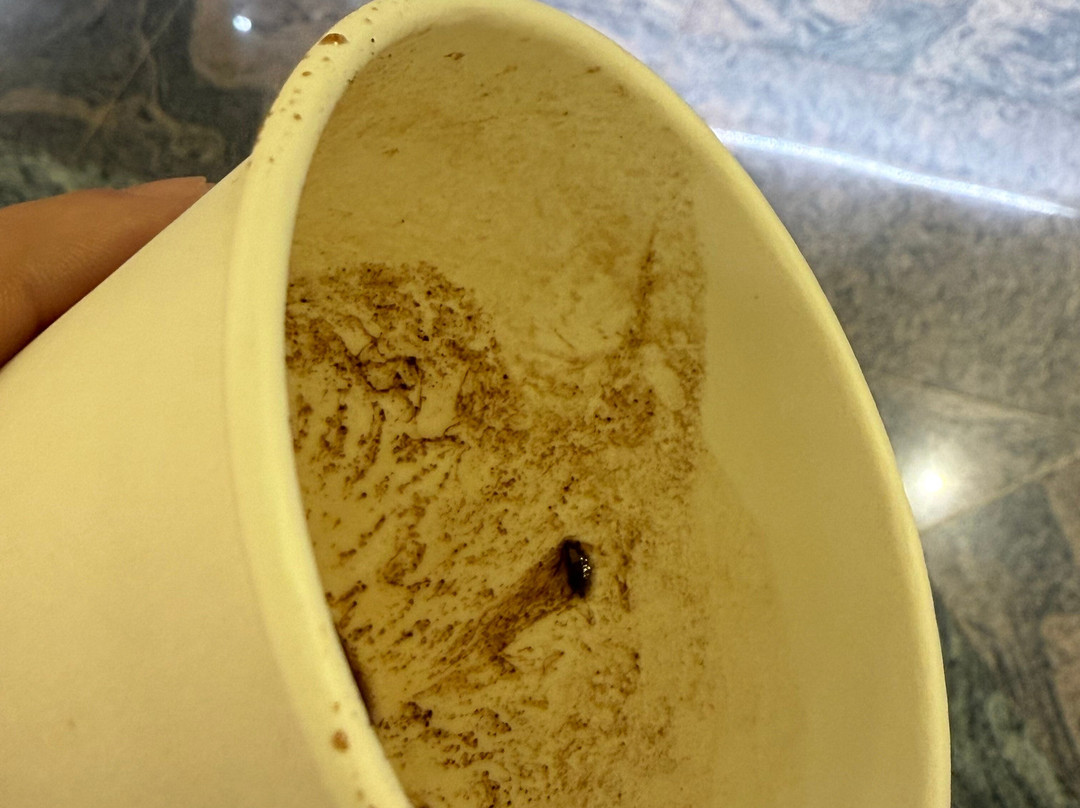 马塔斯布兰卡斯KN酒店-限成人主图