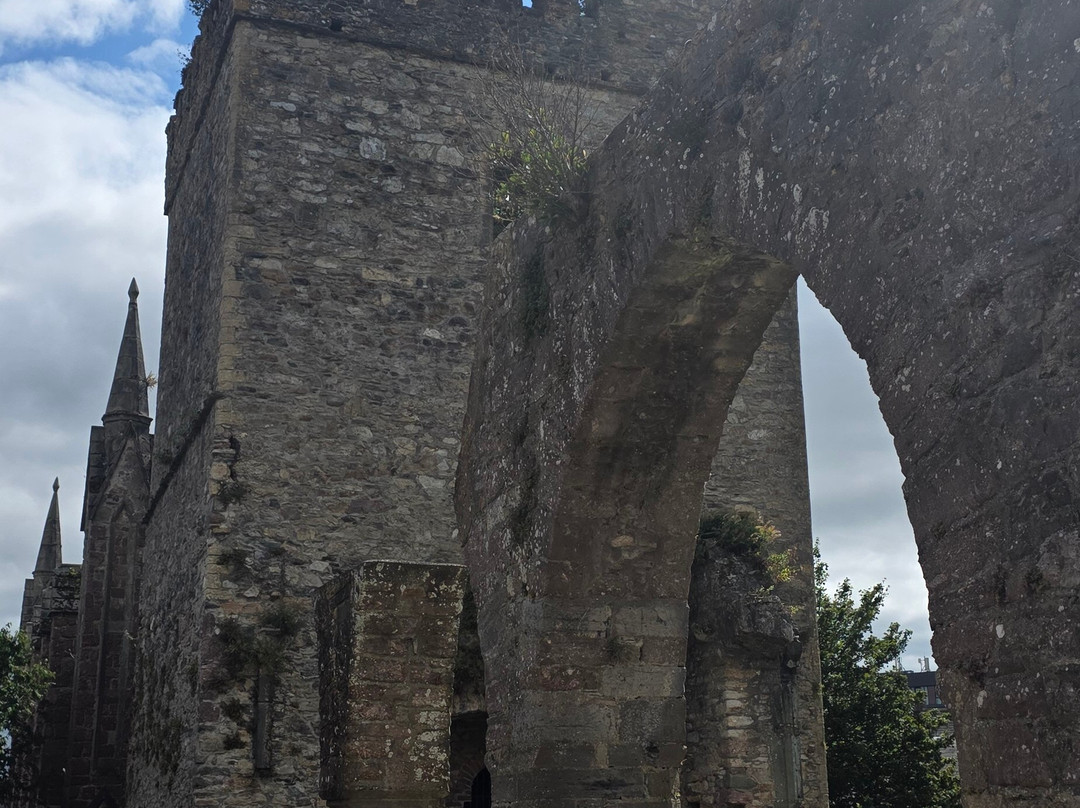 Selskar Abbey-County Wexford必去景点
