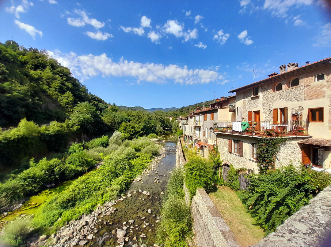 Castello di Castel San Niccolò-Castel San Niccolo必去景点