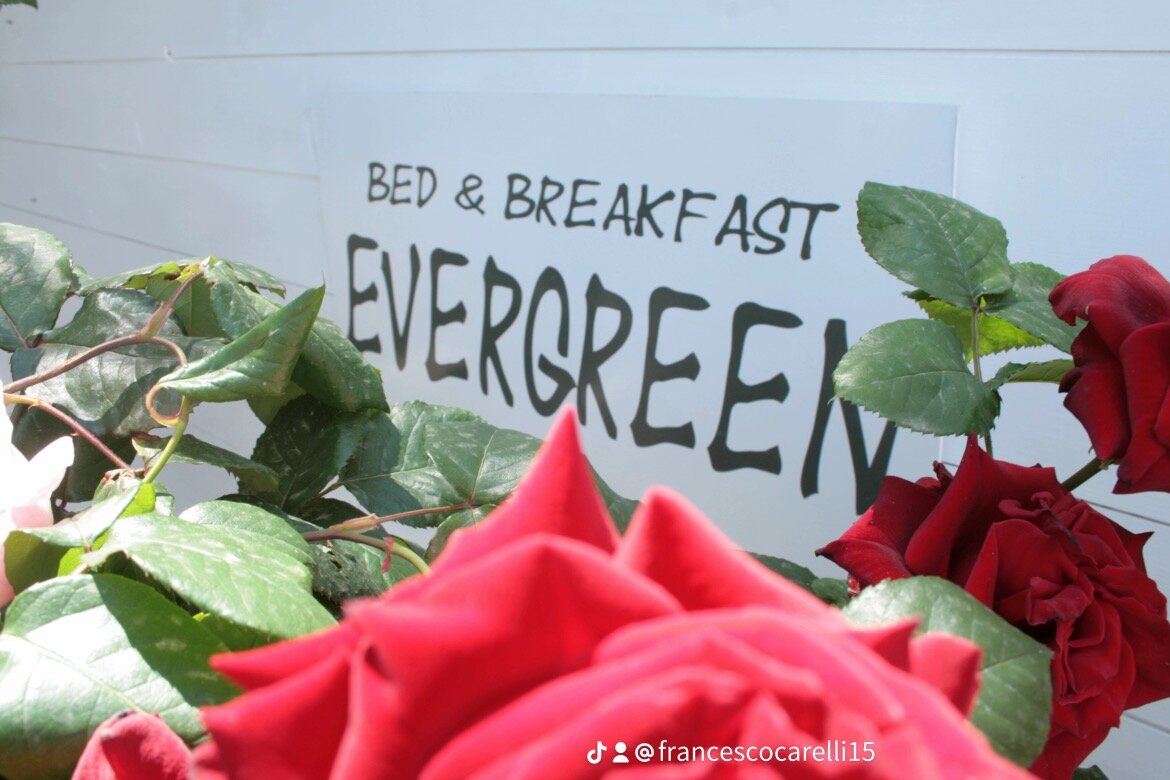 B&B EVERGREEN-酒店景观