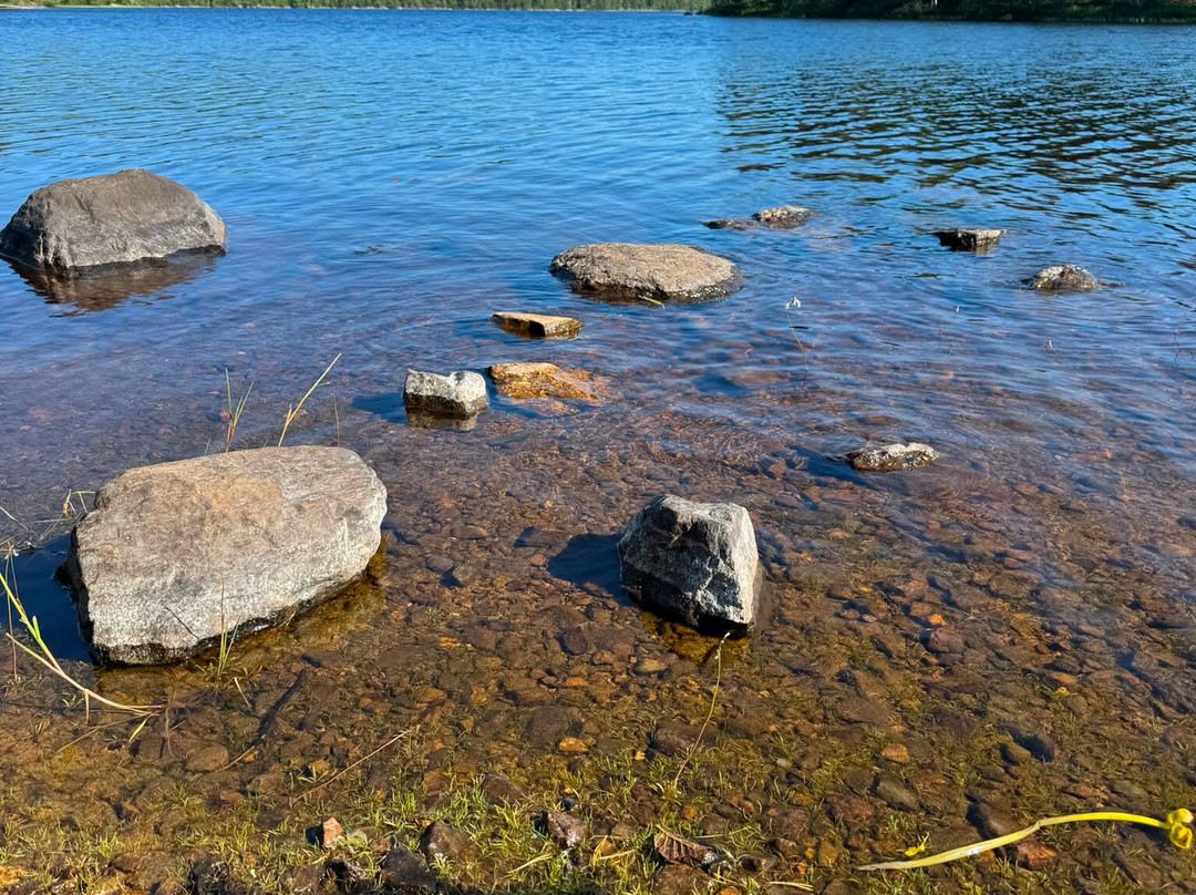 Glaskogens Naturreservat-Arvika必去景点