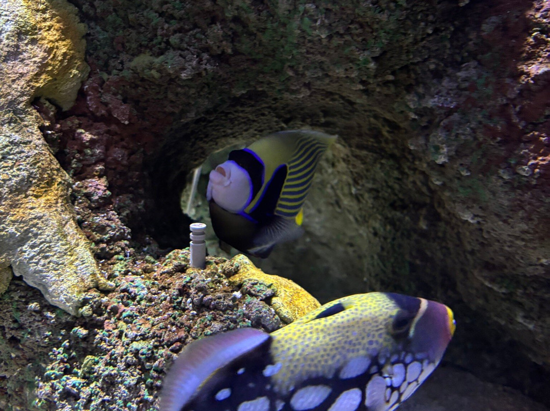 SEA LIFE Helsinki-赫尔辛基必去景点