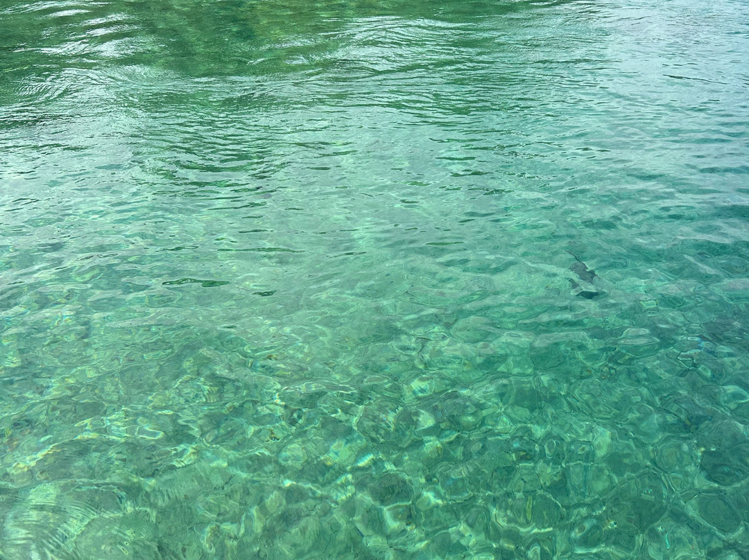 Silver Glen Springs Recreation Area-Salt Springs必去景点