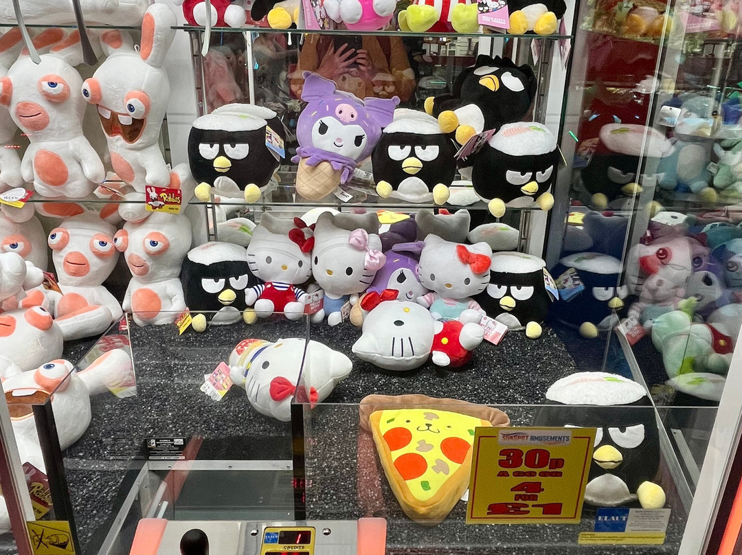 Sunspot Amusements Arcade-伊尔弗勒科姆必去景点