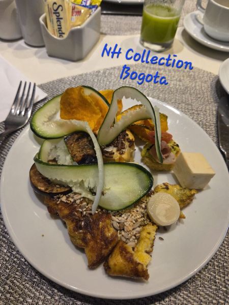 NH皇家特拉100酒店-旅行者