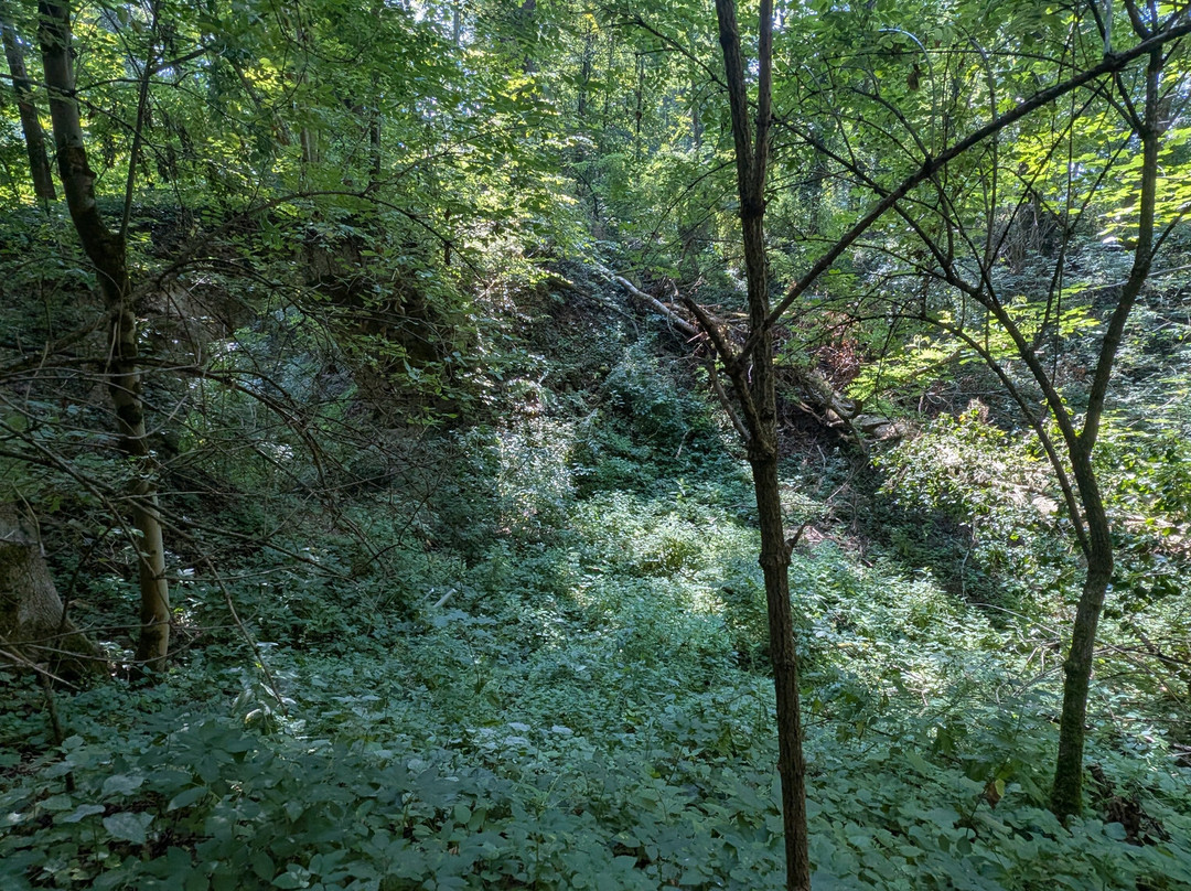 Burgruine Altwartenburg-Timelkam必去景点