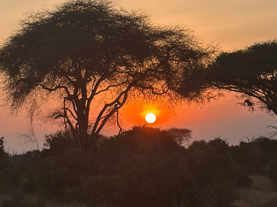 African Horizons-内罗毕必去景点