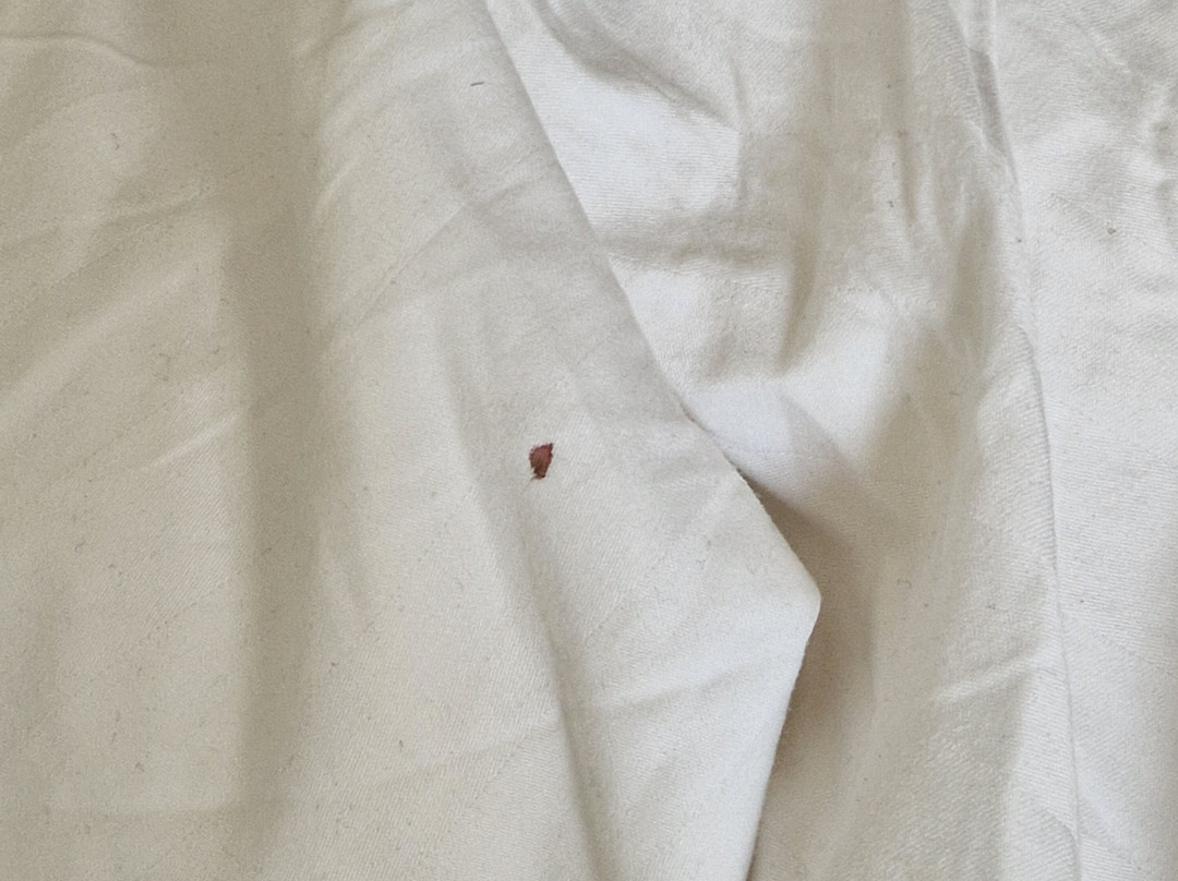 德拉玫瑰酒店主图