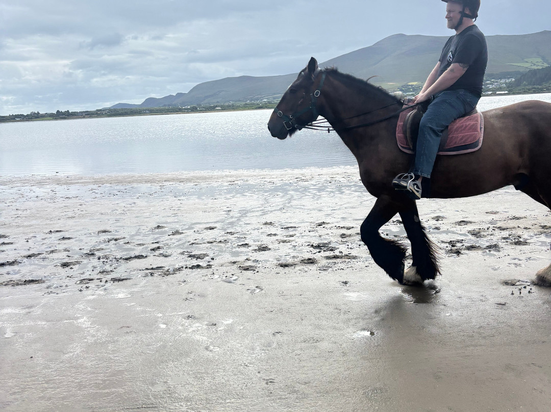 Rossbeigh Beach Horse Riding Centre-Glenbeigh必去景点