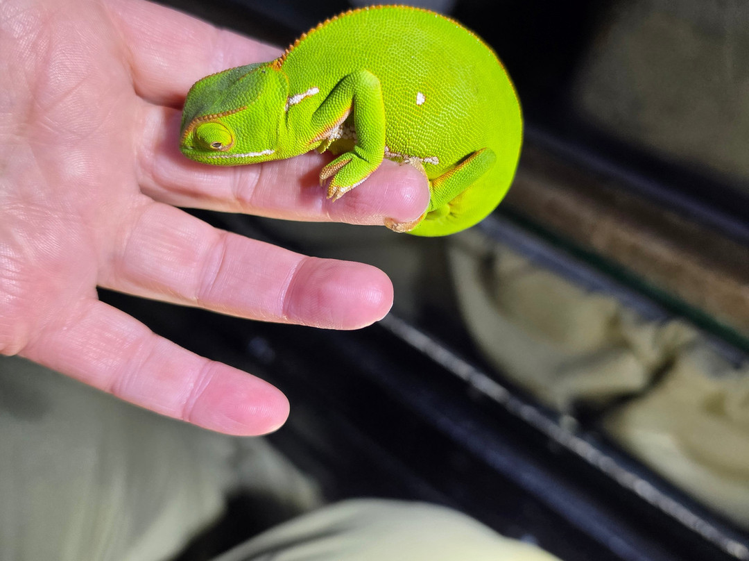 Kwalucia Private Safari Retreat主图