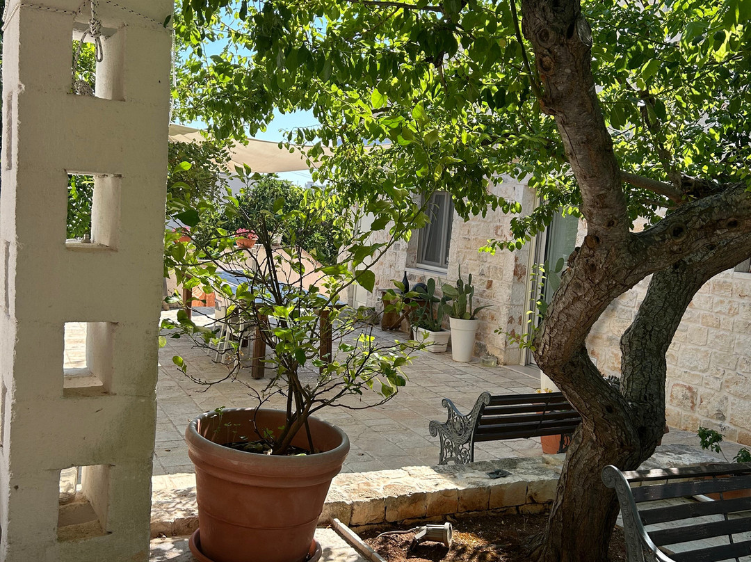 B&B Masseria Piccola主图
