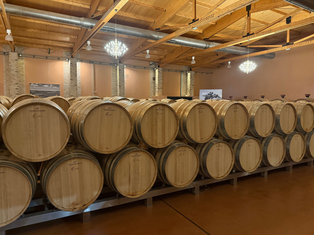 Emilio Moro Bodegas-Pesquera de Duero必去景点