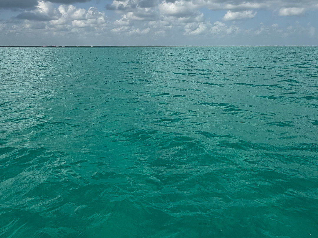 Isla Holbox-Holbox Island必去景点