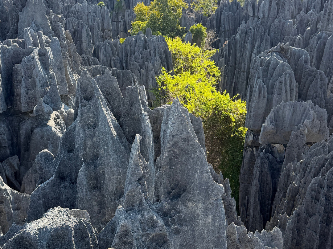 Faniry Madagascar Tours-安塔那那利佛必去景点