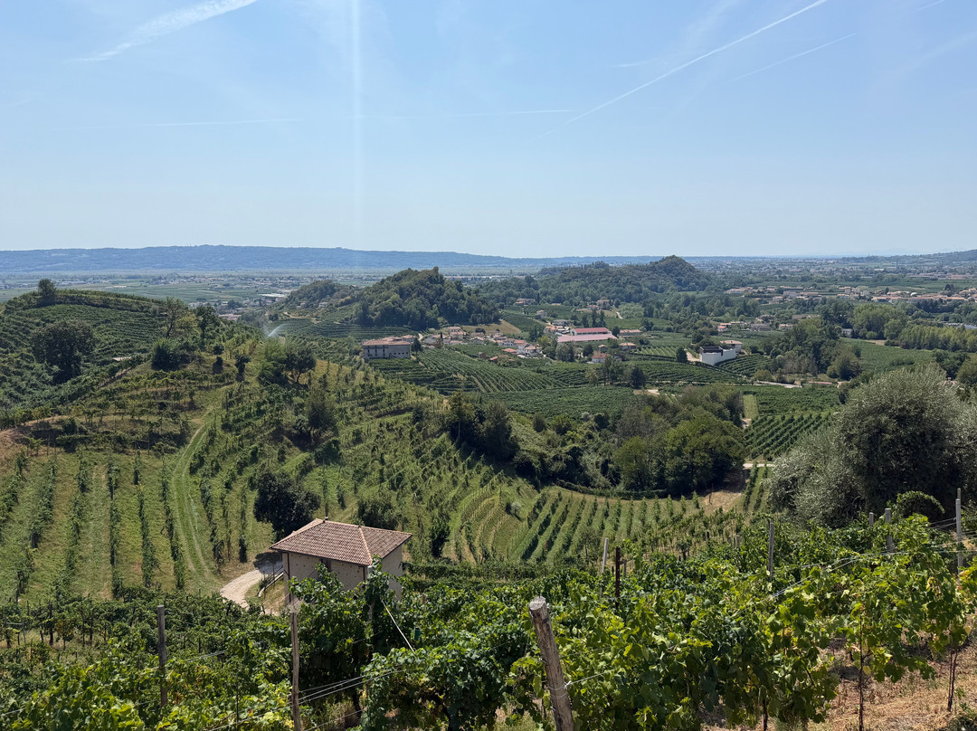 Col del lupo - Produzione e Degustazione Valdobbiadene Prosecco DOCG-Vidor必去景点
