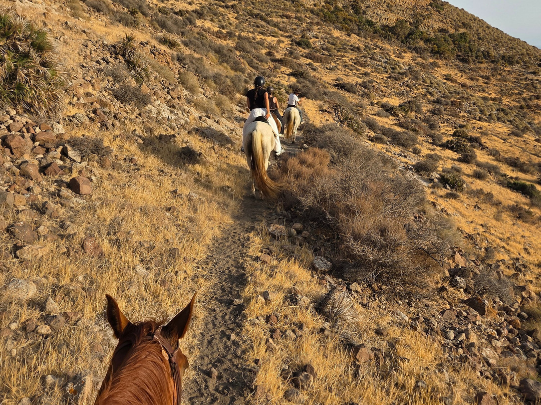 Cabacci Horse Trails-圣何塞必去景点