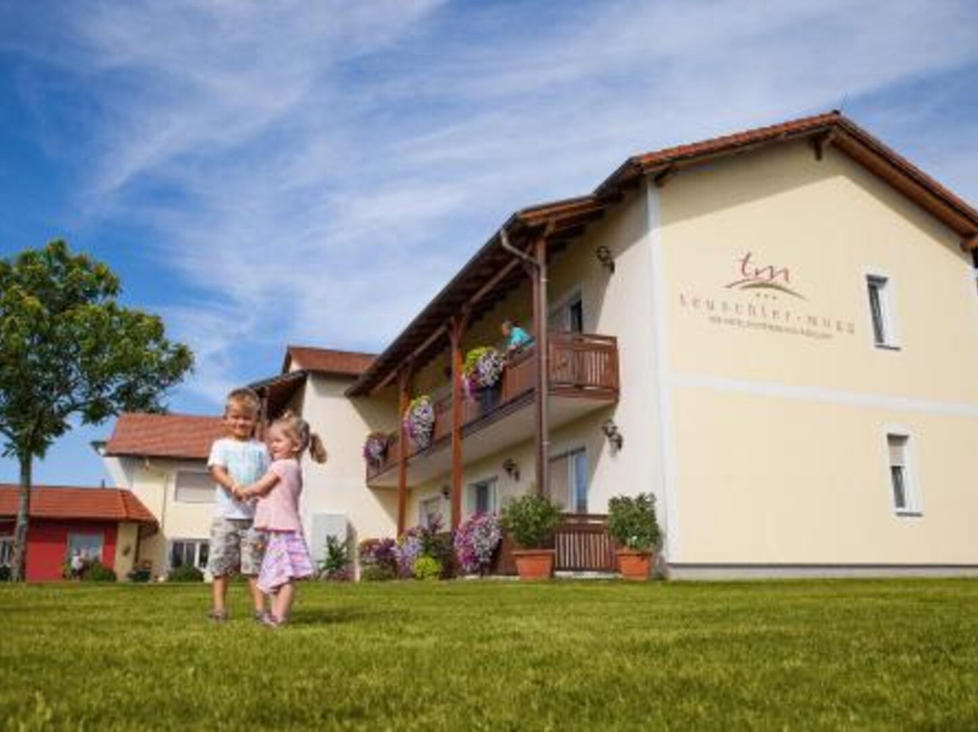 Bad Waltersdorf酒店住宿-Hotel-Restaurant Teuschler-Mogg