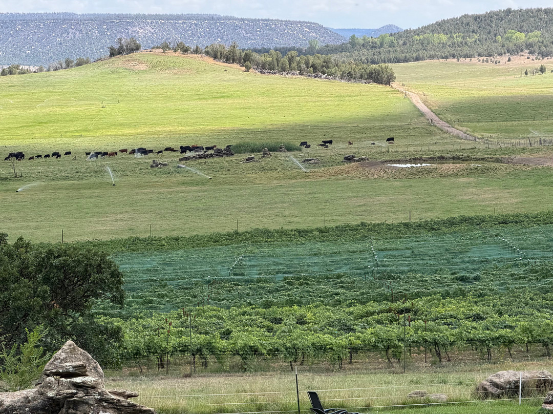 Fox Fire Farms Winery-Ignacio必去景点