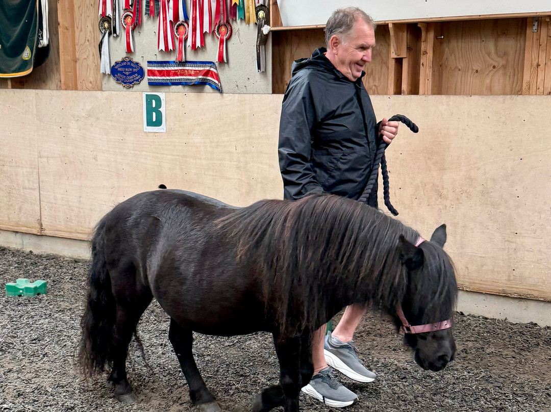 The Shetland Pony Experience-Papil必去景点