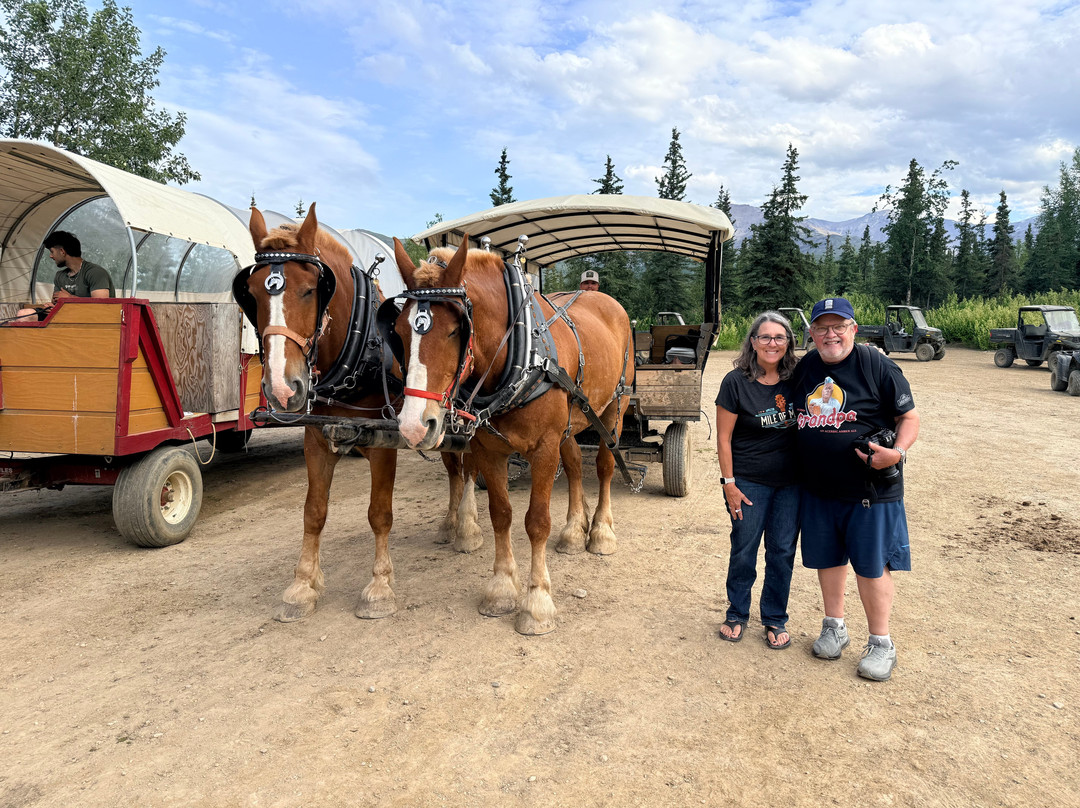 Denali Black Diamond Covered Wagon-Denali Park必去景点