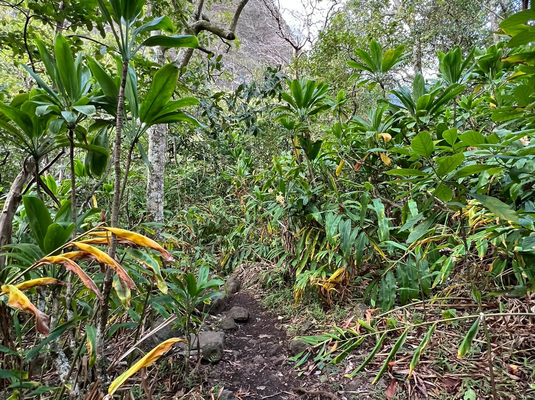伊奥谷州立纪念碑-怀露库必去景点