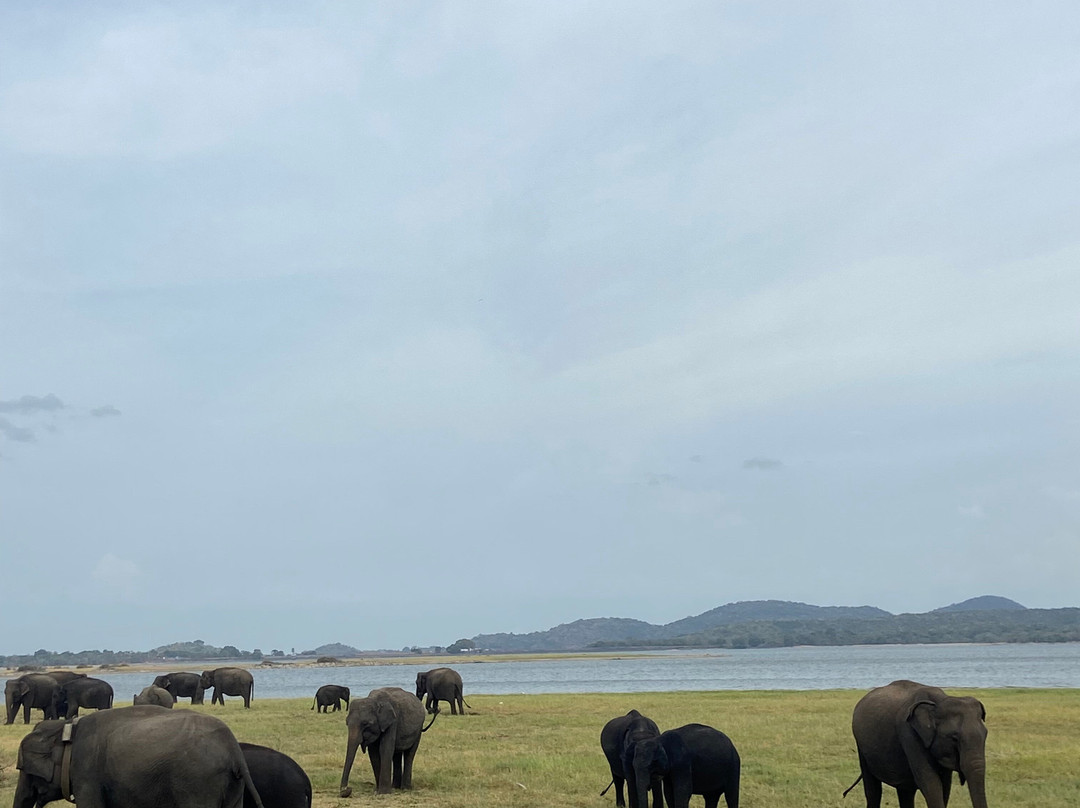 My Driver Sri Lanka-卡图纳耶克必去景点