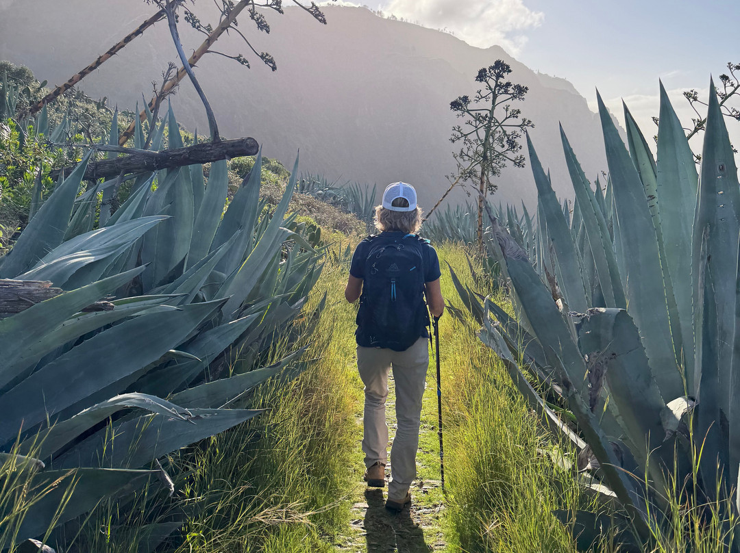Portugal Nature Trails-辛特拉必去景点