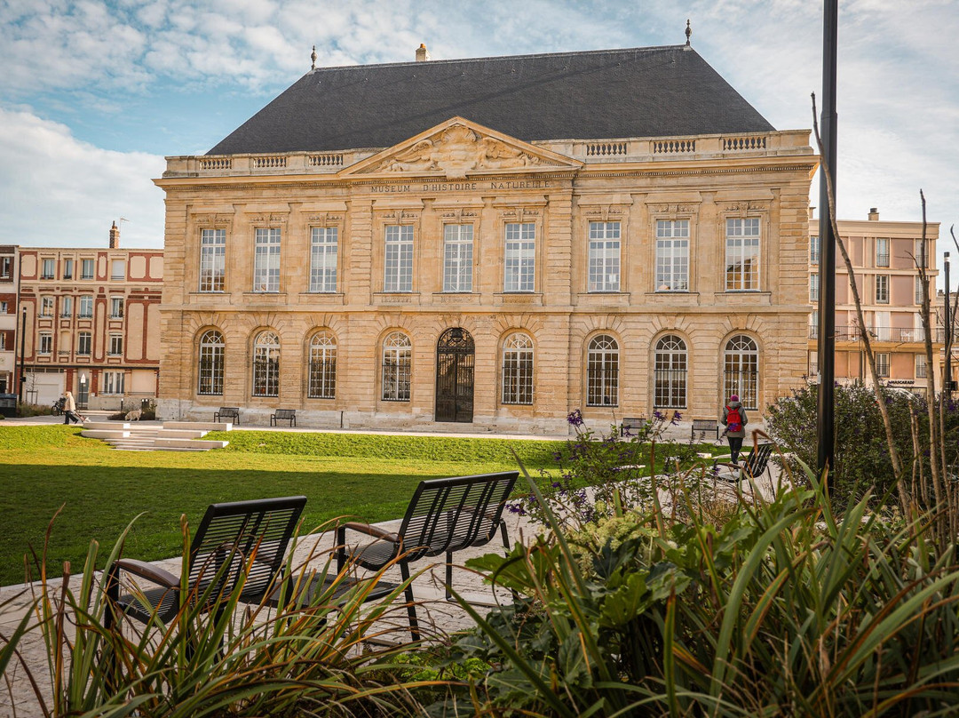 Muséum d'Histoire Naturelle-勒阿弗尔必去景点