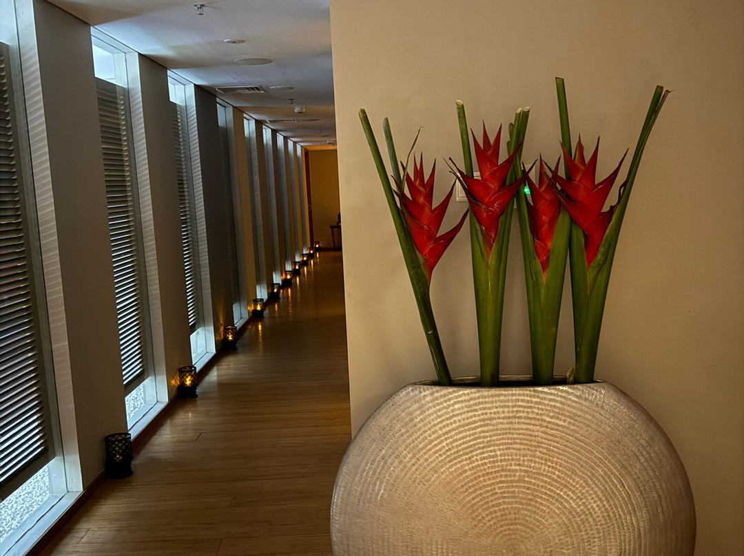 Zanti The Retreat-水明漾必去景点