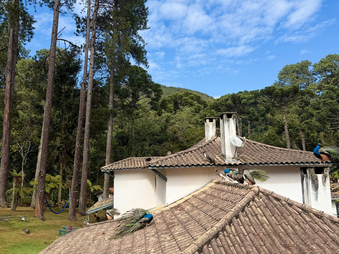 Pousada Villa d'Amore主图
