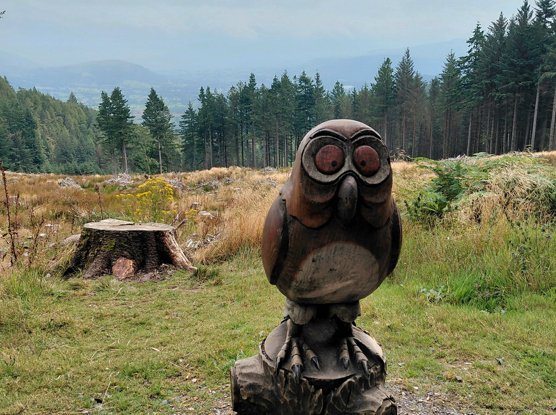 Whinlatter Forest-Braithwaite必去景点
