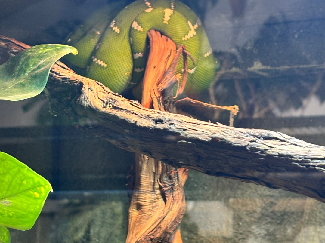 Padiparc - Parc Zoologique-Padirac必去景点