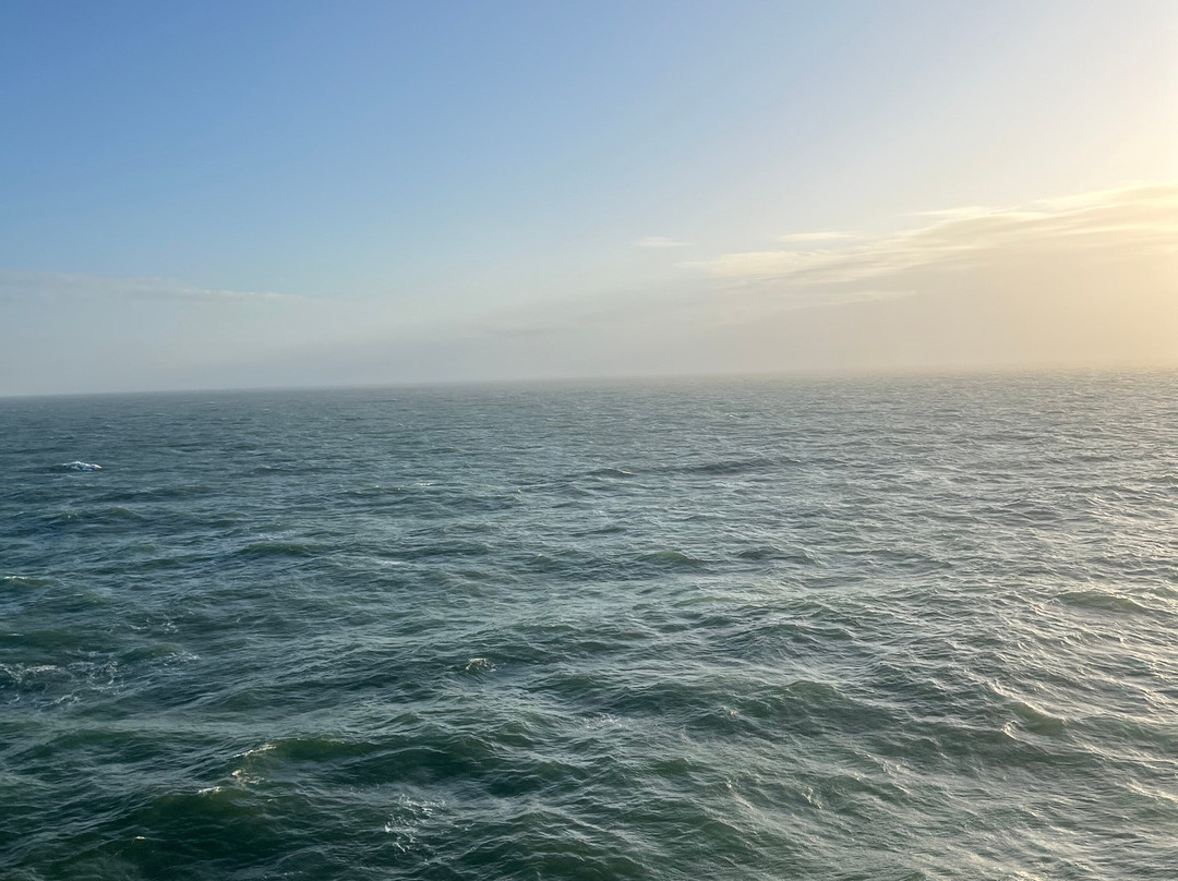 DFDS Newcastle-North Shields必去景点