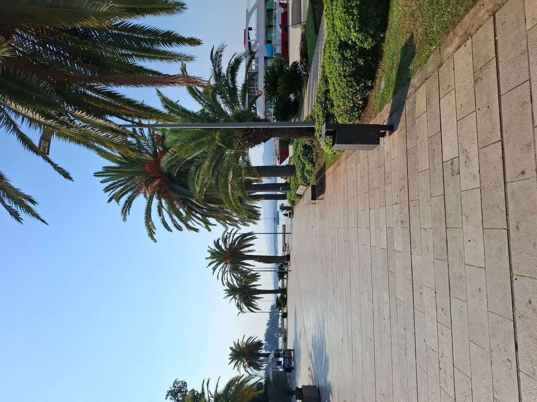 Tuk Tuk Montenegro-科托尔必去景点