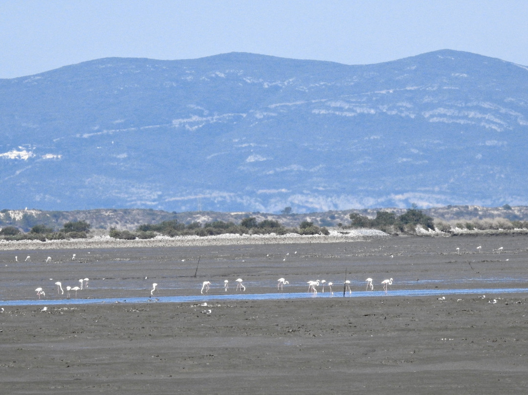 Cais Palafítico do Porto da Carrasqueira-Comporta必去景点