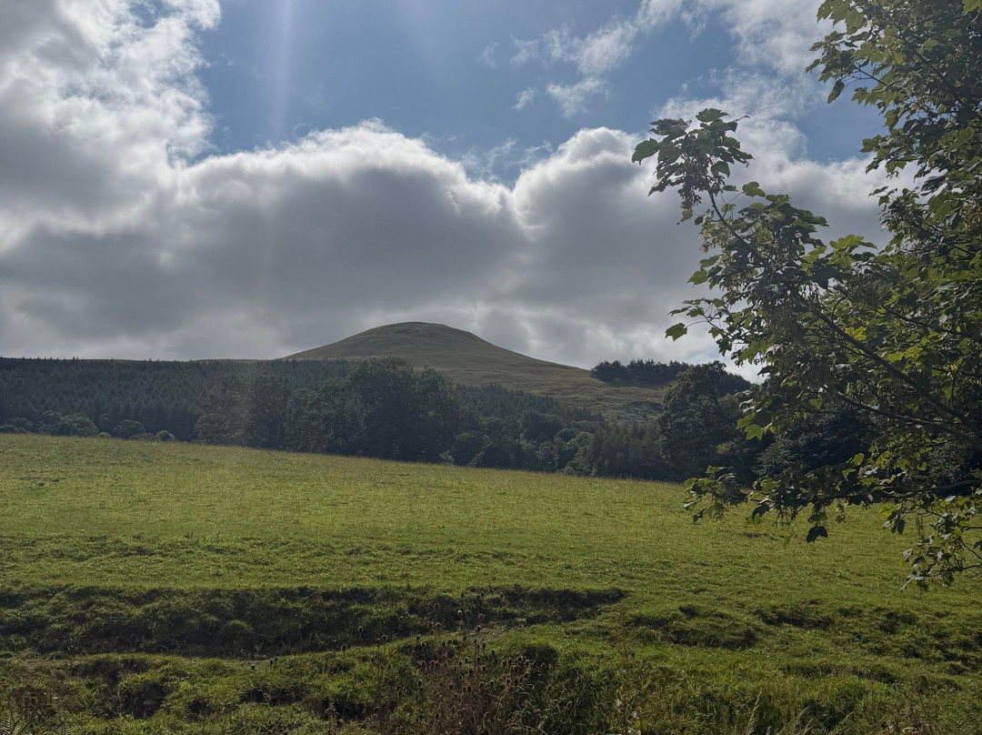 Falkland Estate-Falkland必去景点