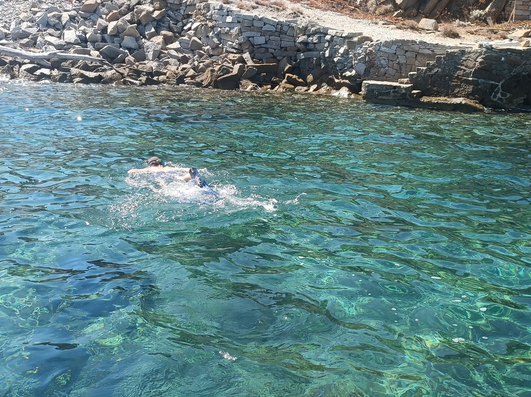 Max Shark Diving-Isola del Giglio必去景点