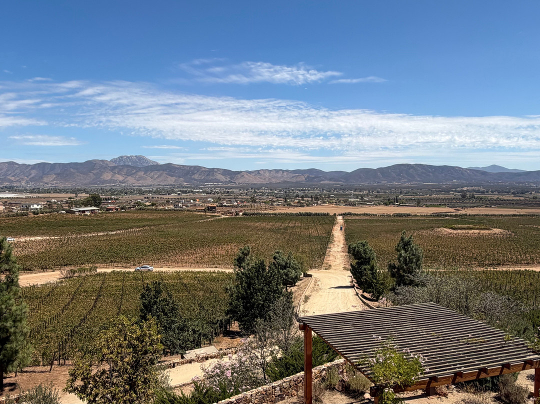Las Nubes Bodegas y Viñedos-Valle de Guadalupe必去景点