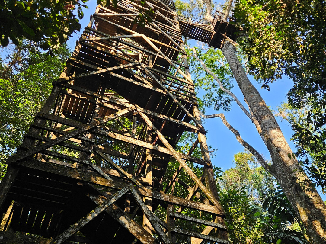Tambopata Wild-Tambopata National Reserve必去景点