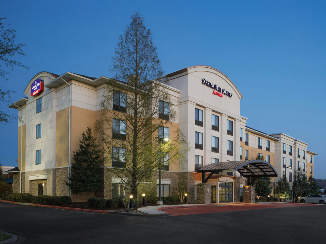 Farragut酒店住宿-SpringHill Suites by Marriott Knoxville at Turkey Creek