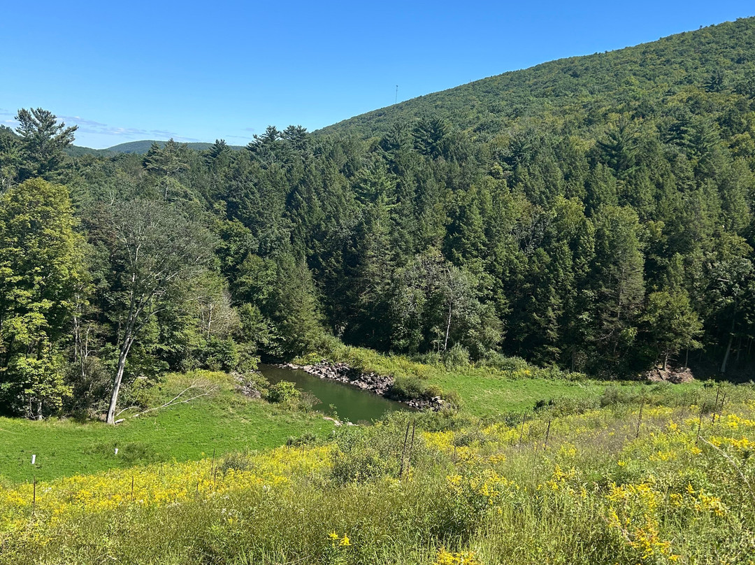 Tuscarora State Park-Barnesville必去景点